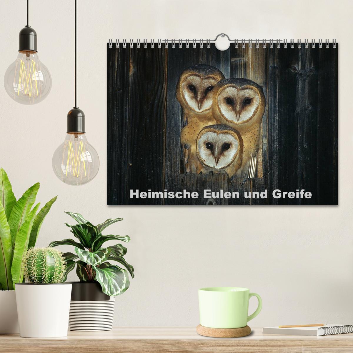 Bild: 9783435719631 | Heimische Eulen und Greife (Wandkalender 2025 DIN A4 quer),...