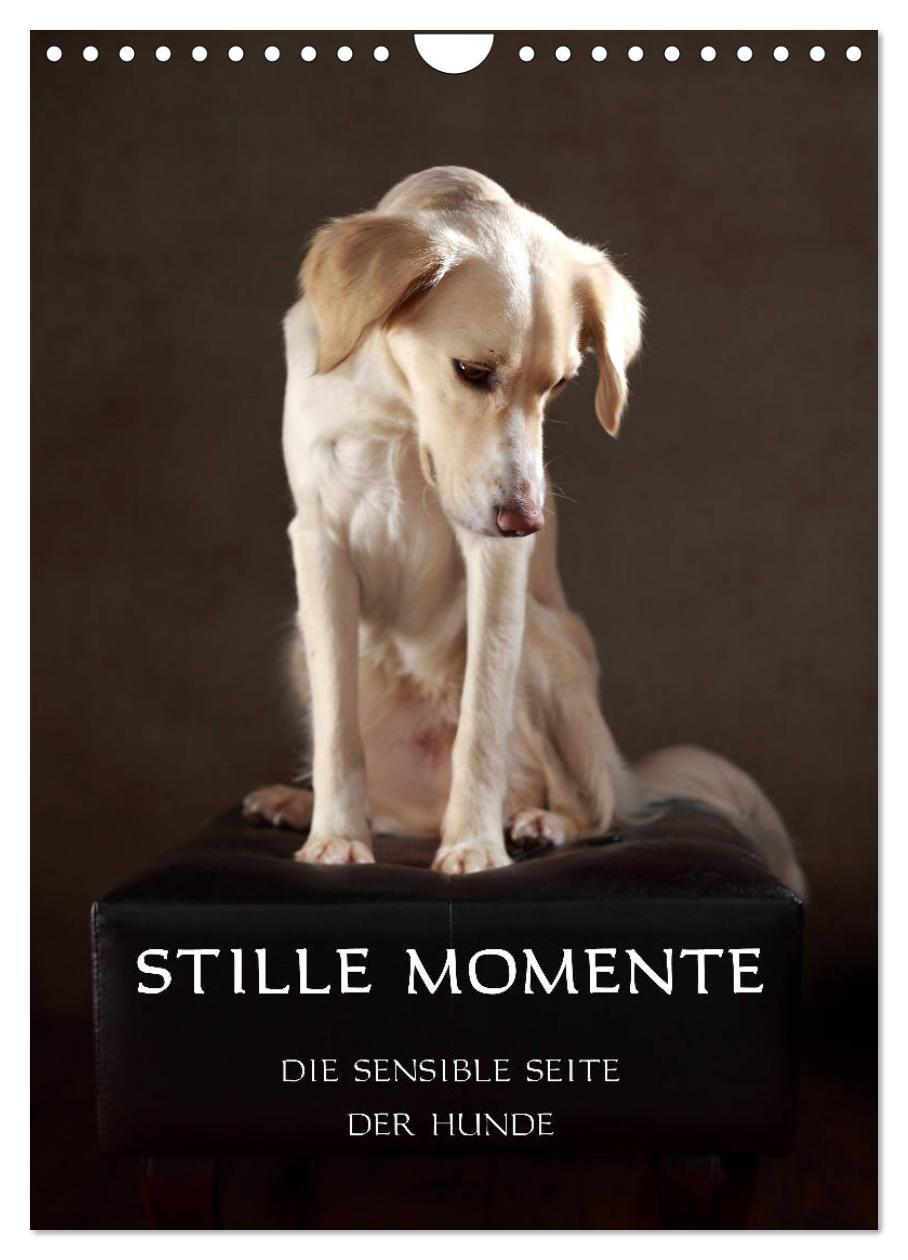 Cover: 9783435998777 | Stille Momente - Die sensible Seite der Hunde (Wandkalender 2025...