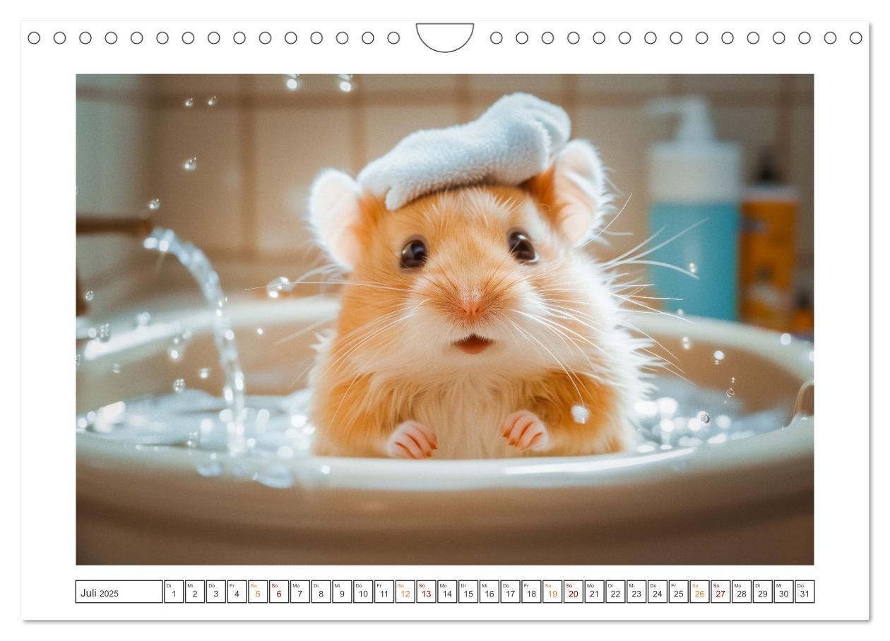 Bild: 9783435069958 | Lustige Hamster (Wandkalender 2025 DIN A4 quer), CALVENDO...