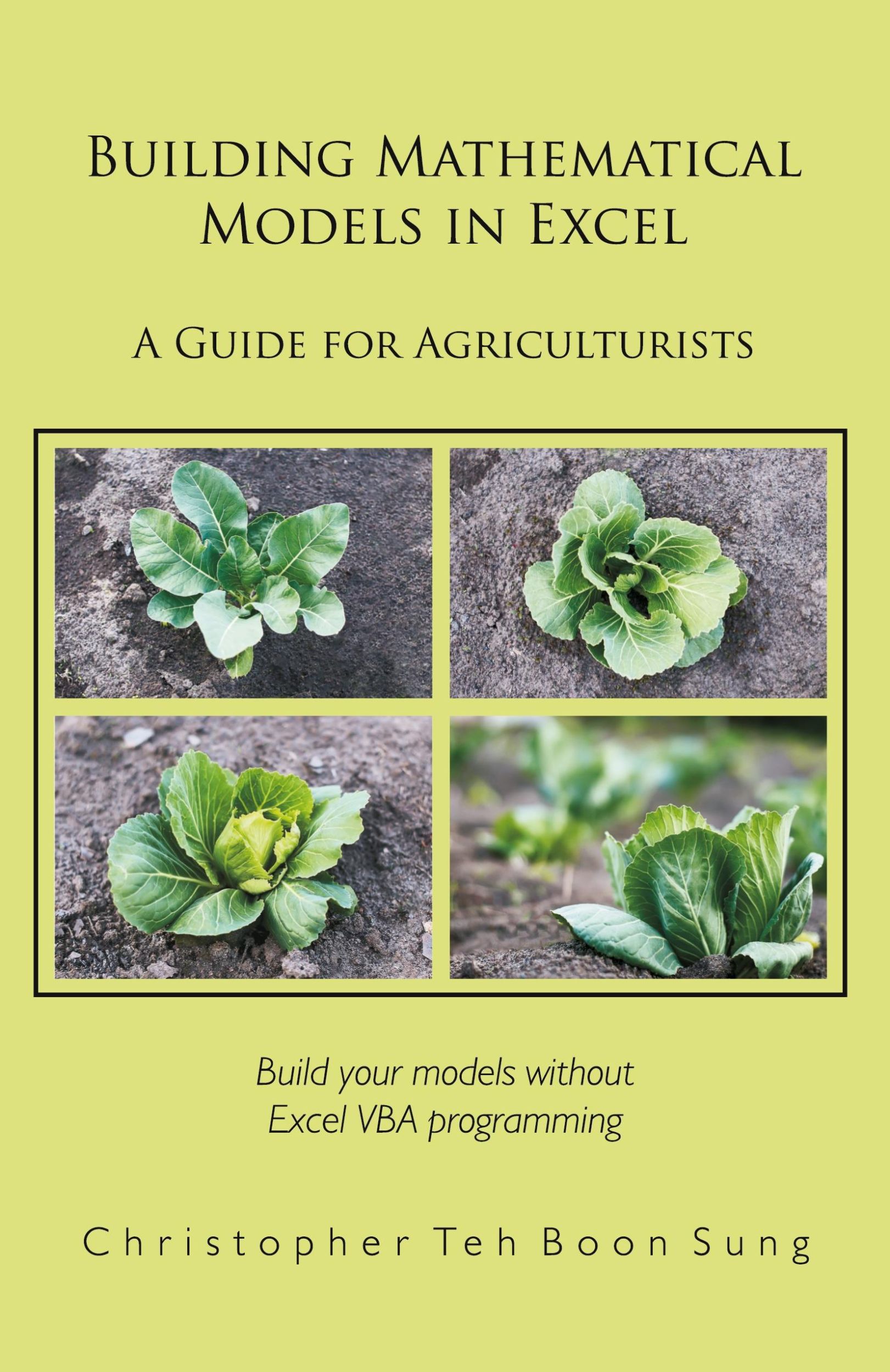 Cover: 9781627340380 | Building Mathematical Models in Excel | A Guide for Agriculturists