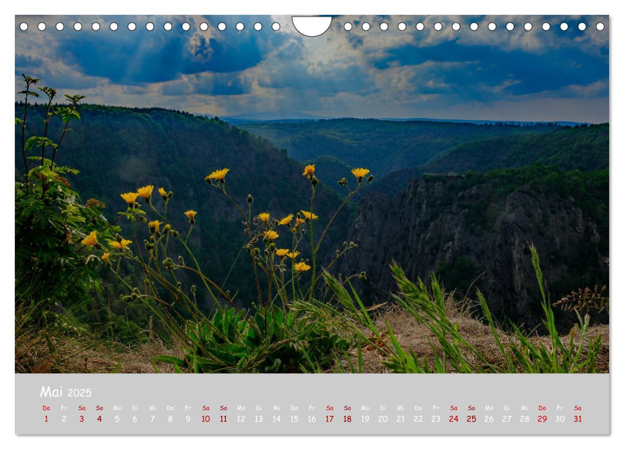 Bild: 9783435032051 | Harzer Impressionen (Wandkalender 2025 DIN A4 quer), CALVENDO...