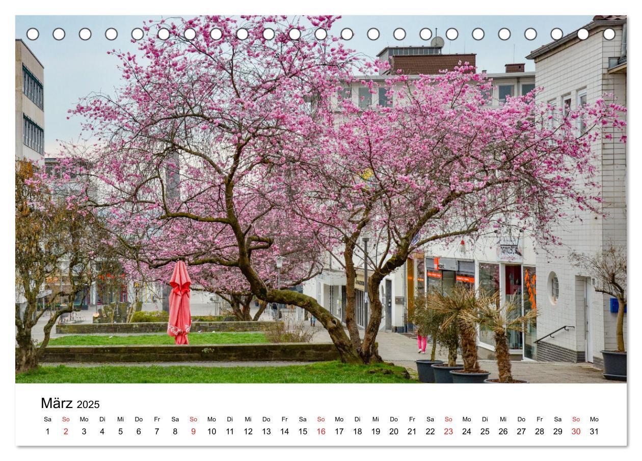 Bild: 9783435289950 | Kassel - Impressionen (Tischkalender 2025 DIN A5 quer), CALVENDO...