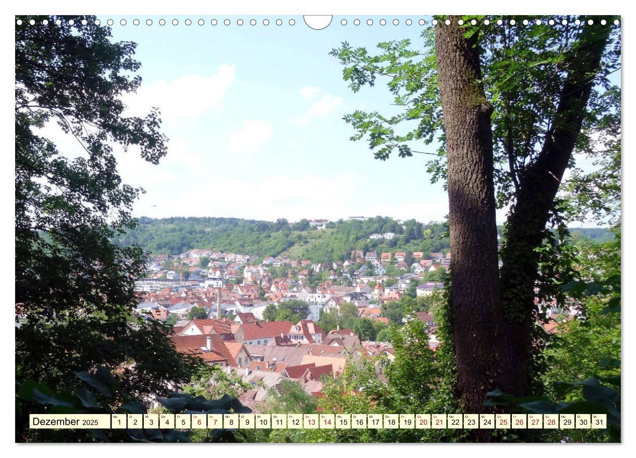 Bild: 9783435328369 | Unterwegs in Tübingen (Wandkalender 2025 DIN A3 quer), CALVENDO...