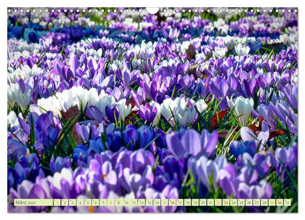 Bild: 9783435473502 | Blumenwiesen ¿ ein blütenzauberhaftes Jahr (Wandkalender 2025 DIN...