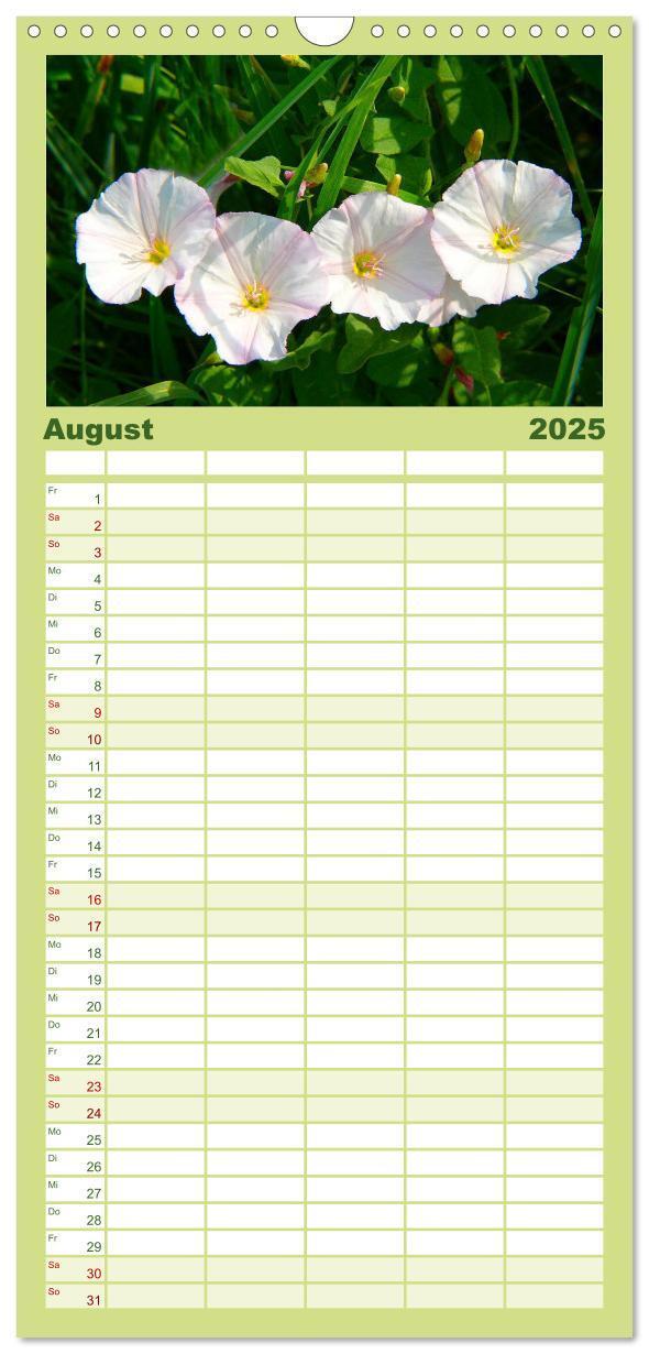 Bild: 9783457120347 | Familienplaner 2025 - Wildblumen 2025 mit 5 Spalten (Wandkalender,...