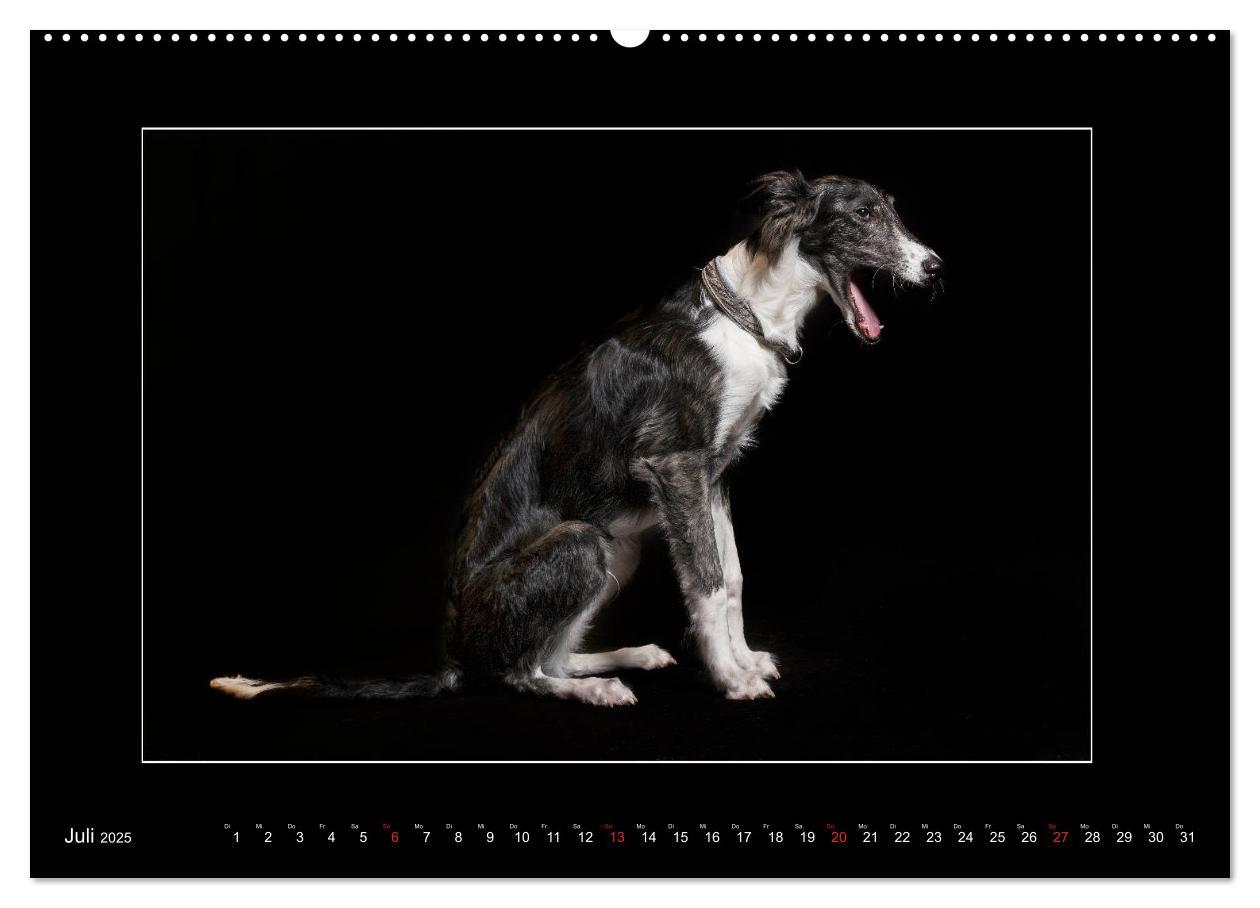 Bild: 9783435176809 | Windhunde - Schnelle Schönheiten (Wandkalender 2025 DIN A2 quer),...