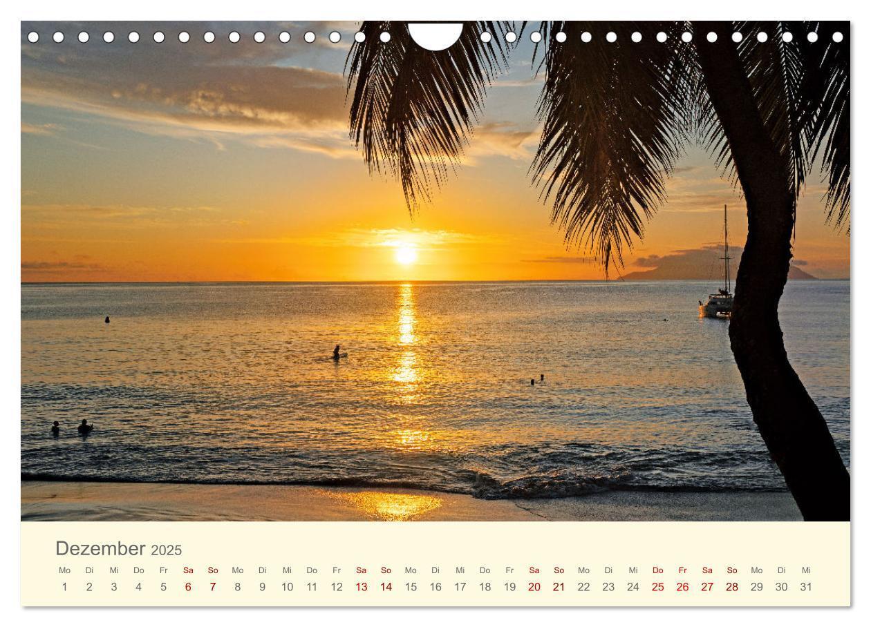 Bild: 9783435011926 | Traumhafte Seychellen (Wandkalender 2025 DIN A4 quer), CALVENDO...