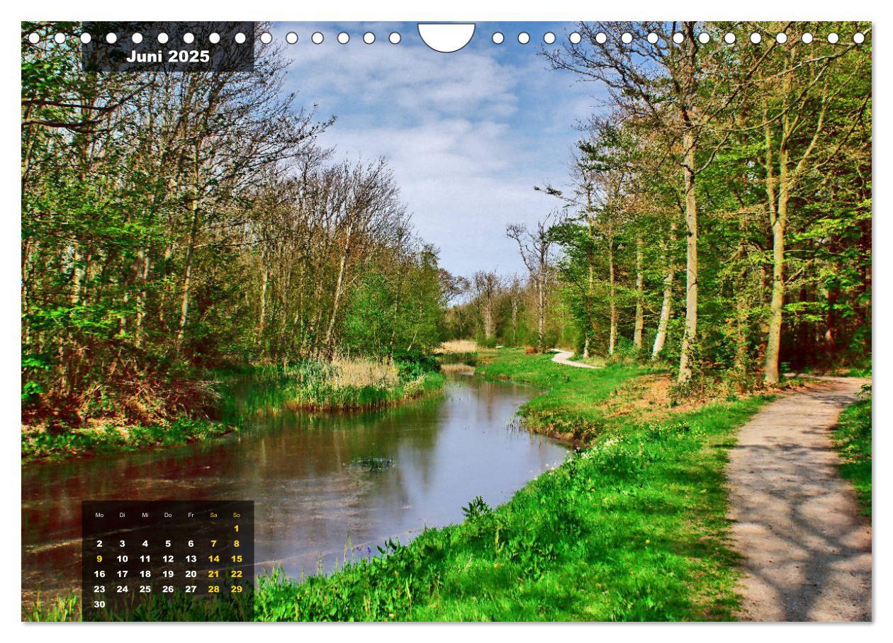 Bild: 9783435331802 | Texel Insel mit Charakter (Wandkalender 2025 DIN A4 quer), CALVENDO...