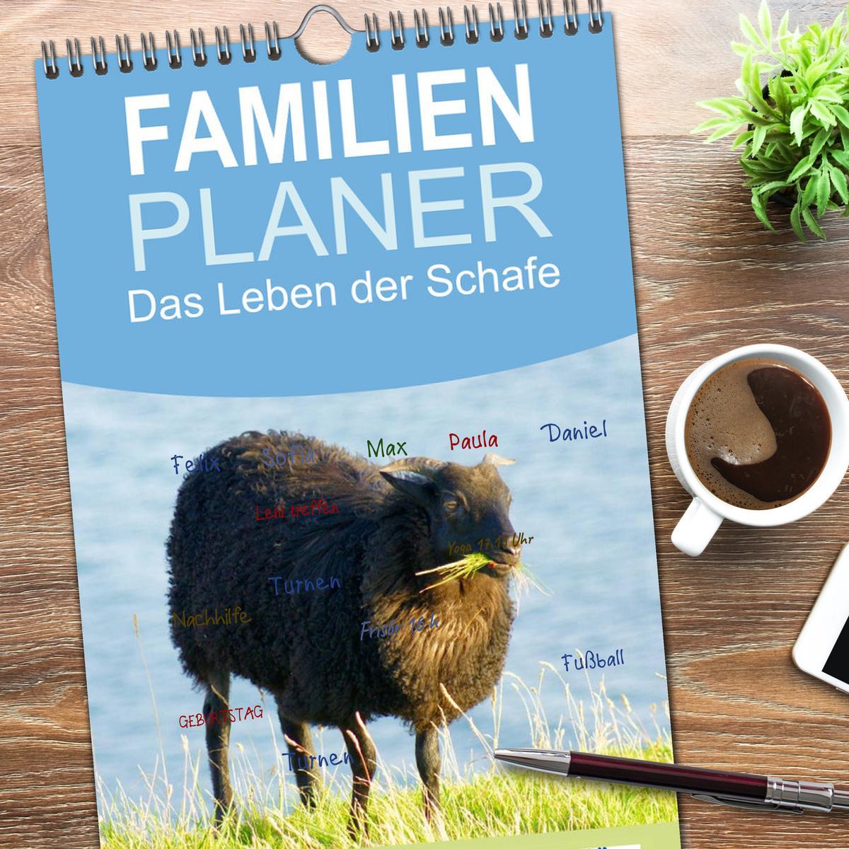 Bild: 9783457125007 | Familienplaner 2025 - Das Leben der Schafe mit 5 Spalten...