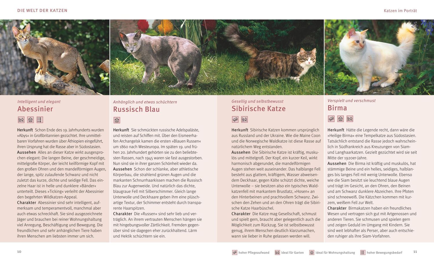 Bild: 9783833852176 | Katzen | Wohlfühl-Garantie für kleine und große Schnurrer | Buch