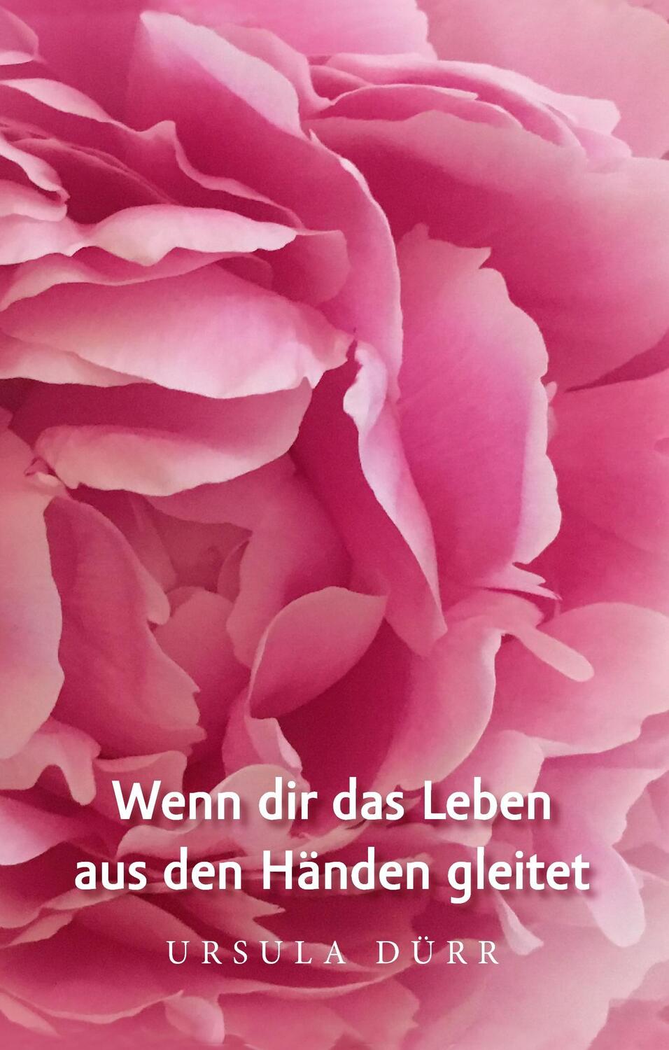 Cover: 9783744842631 | Wenn dir das Leben aus den Händen gleitet | Ursula Dürr | Buch | 2017