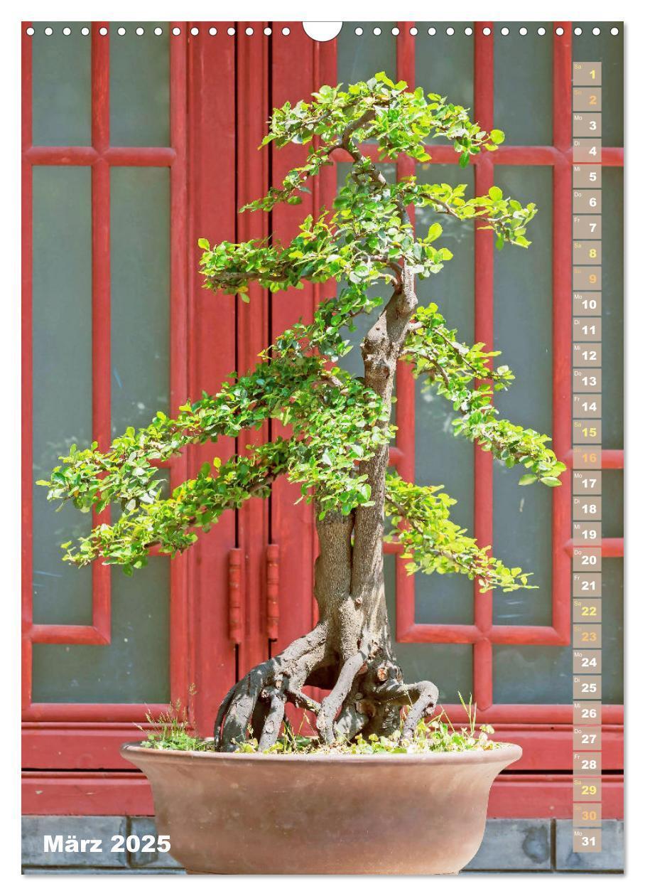 Bild: 9783435851232 | Bonsai: Gartenkunst im Kleinen (Wandkalender 2025 DIN A3 hoch),...