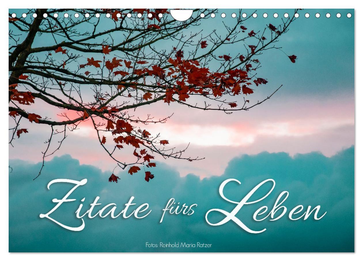 Cover: 9783383971495 | Zitate fürs Leben (Wandkalender 2025 DIN A4 quer), CALVENDO...