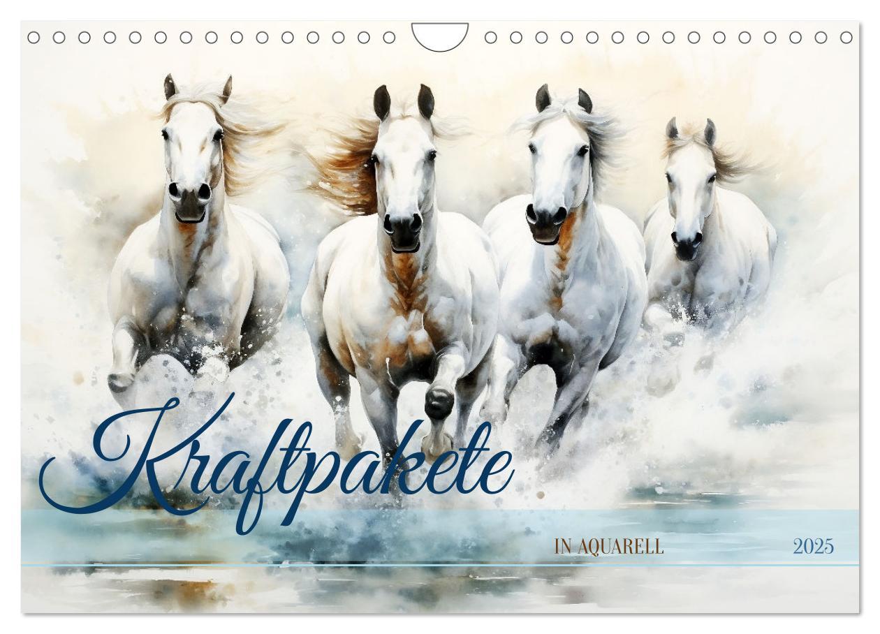 Cover: 9783435011780 | Kraftpakete in Aquarell (Wandkalender 2025 DIN A4 quer), CALVENDO...