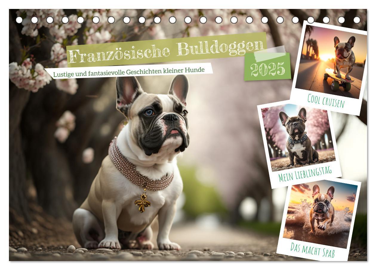 Cover: 9783383909153 | Französische Bulldoggen (Tischkalender 2025 DIN A5 quer), CALVENDO...