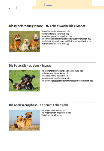 Bild: 9783440112342 | Vom Welpen zum Familienhund mit Natural Dogmanship | Jan Nijboer