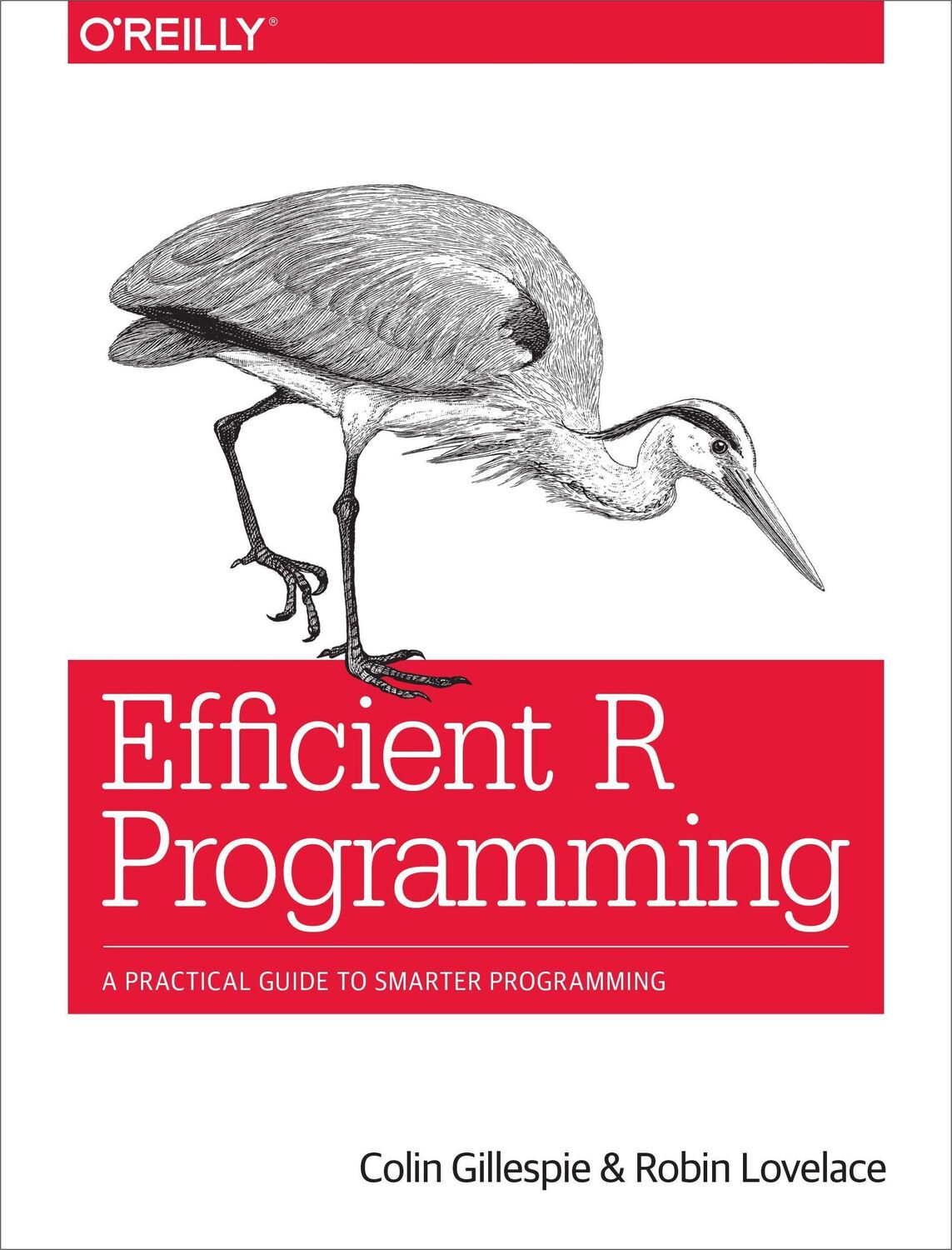 Cover: 9781491950784 | Efficient R Programming | A Practical Guide to Smarter Programming