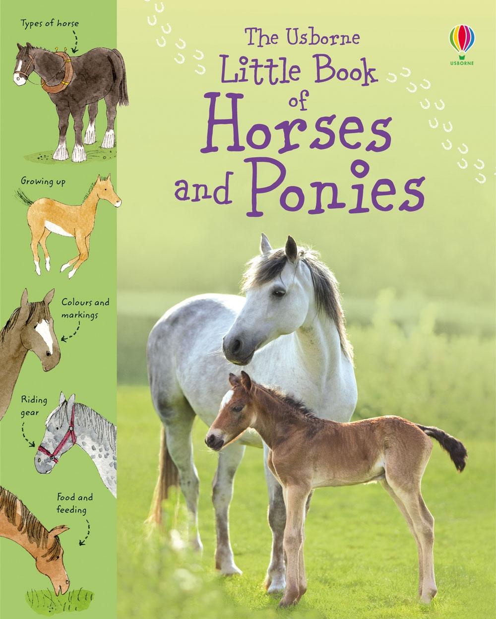 Cover: 9781409508694 | Little Book of Horses and Ponies | Sarah Khan | Buch | Gebunden | 2010