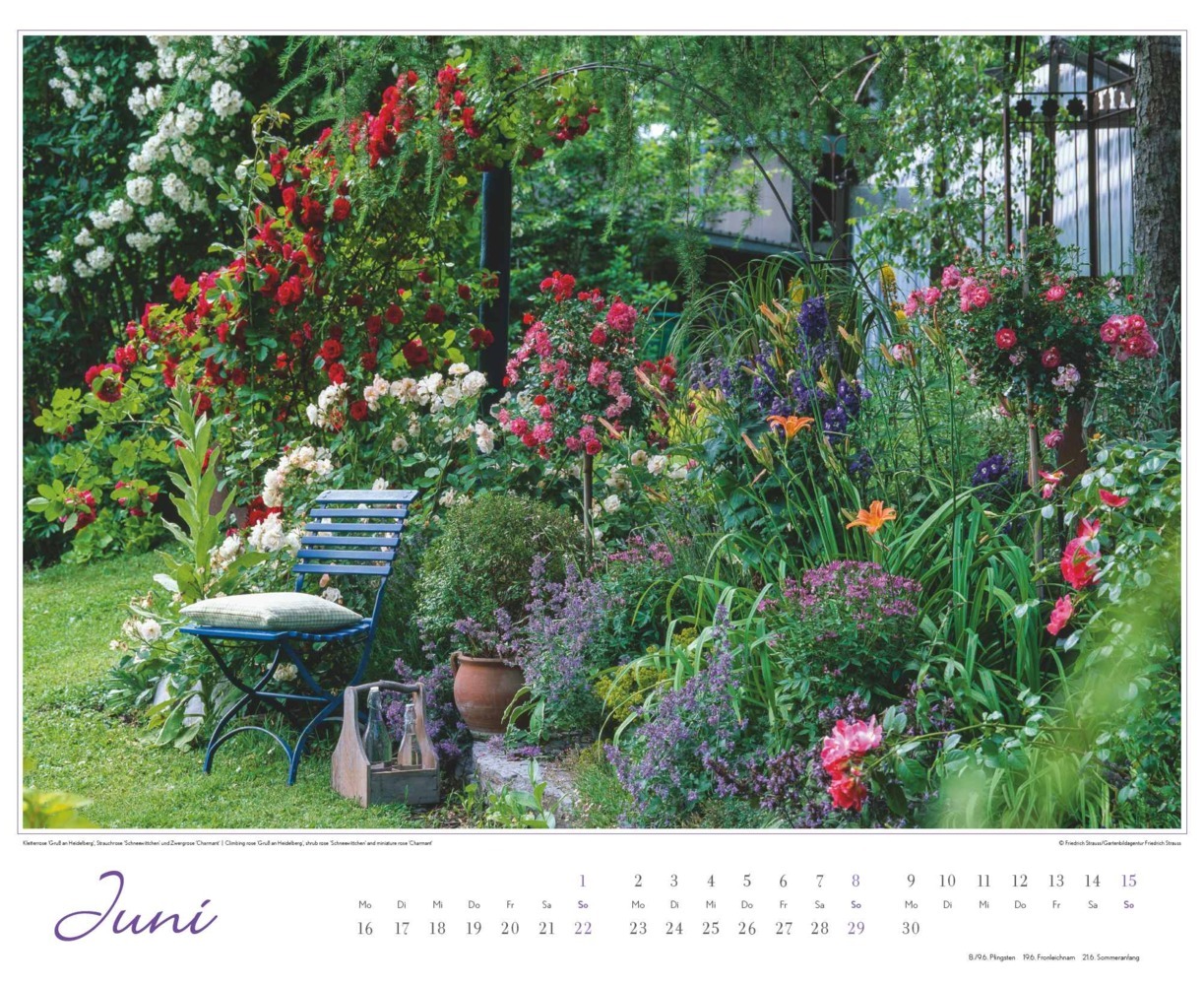 Bild: 4250809653457 | DUMONT - Im Rosengarten 2025 Wandkalender, 52x42,5cm,...