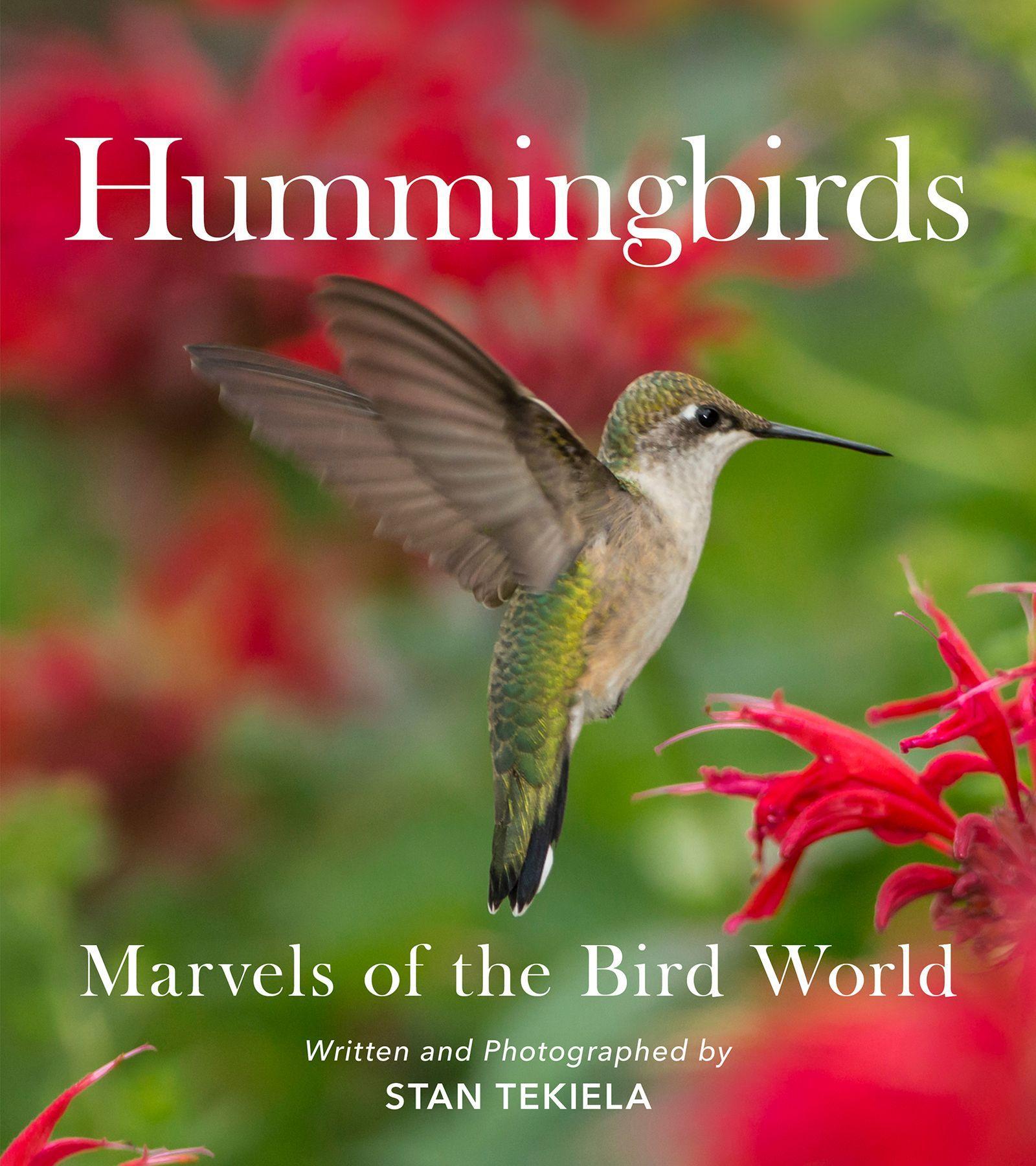 Cover: 9781647552466 | Hummingbirds | Marvels of the Bird World | Stan Tekiela | Taschenbuch