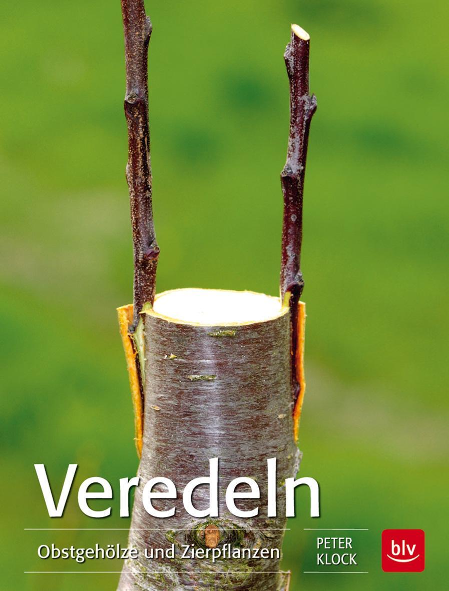 Cover: 9783835418264 | Veredeln | Obstgehölze und Zierpflanzen | Peter Klock | Taschenbuch