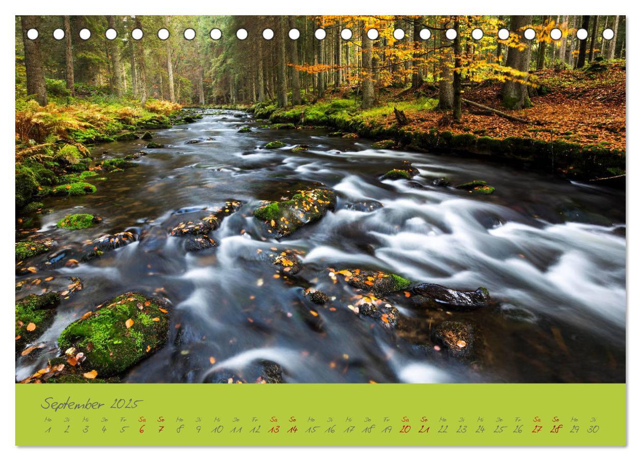 Bild: 9783435192946 | Der Bayerische Wald (Tischkalender 2025 DIN A5 quer), CALVENDO...