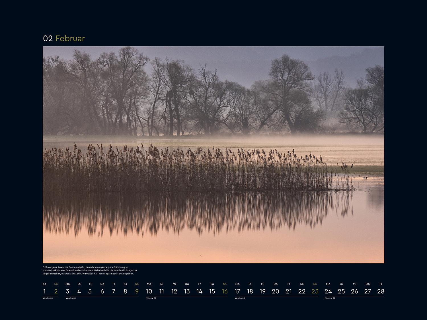 Bild: 9783965913561 | Wildnis Deutschland - KUNTH Wandkalender 2025 | Kalender | 14 S.