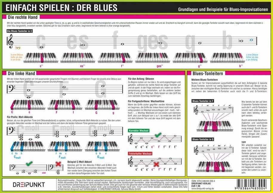 Cover: 9783864483004 | Einfach Spielen: Der Blues, Infotafel | Michael Schulze | Stück | 2015