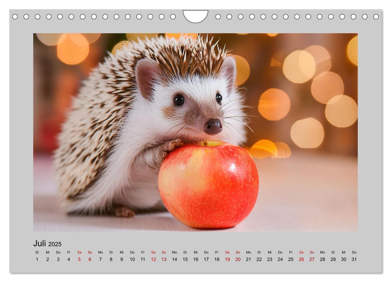 Bild: 9783435504527 | Mein Igel-Kalender (Wandkalender 2025 DIN A4 quer), CALVENDO...