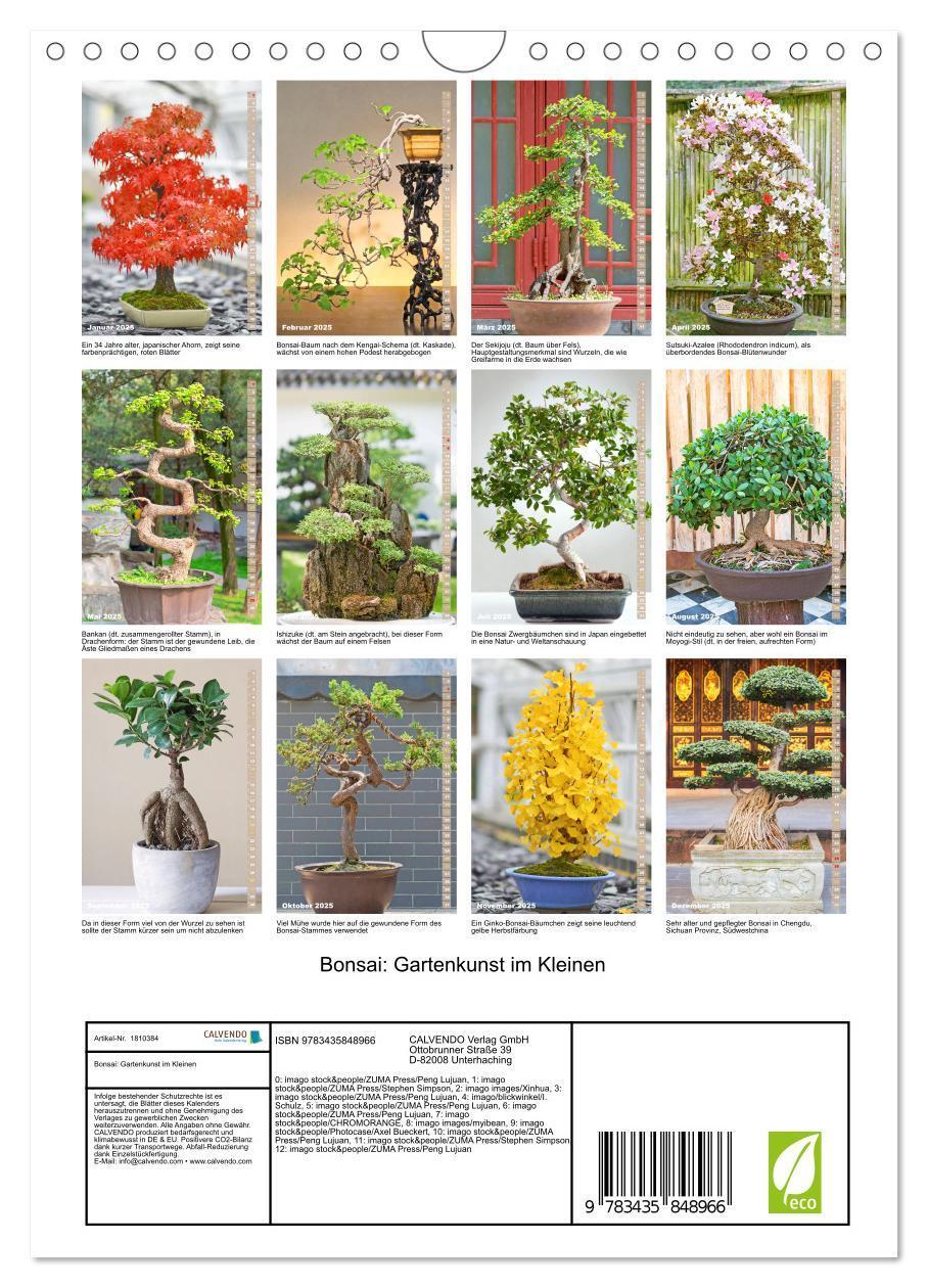 Bild: 9783435848966 | Bonsai: Gartenkunst im Kleinen (Wandkalender 2025 DIN A4 hoch),...