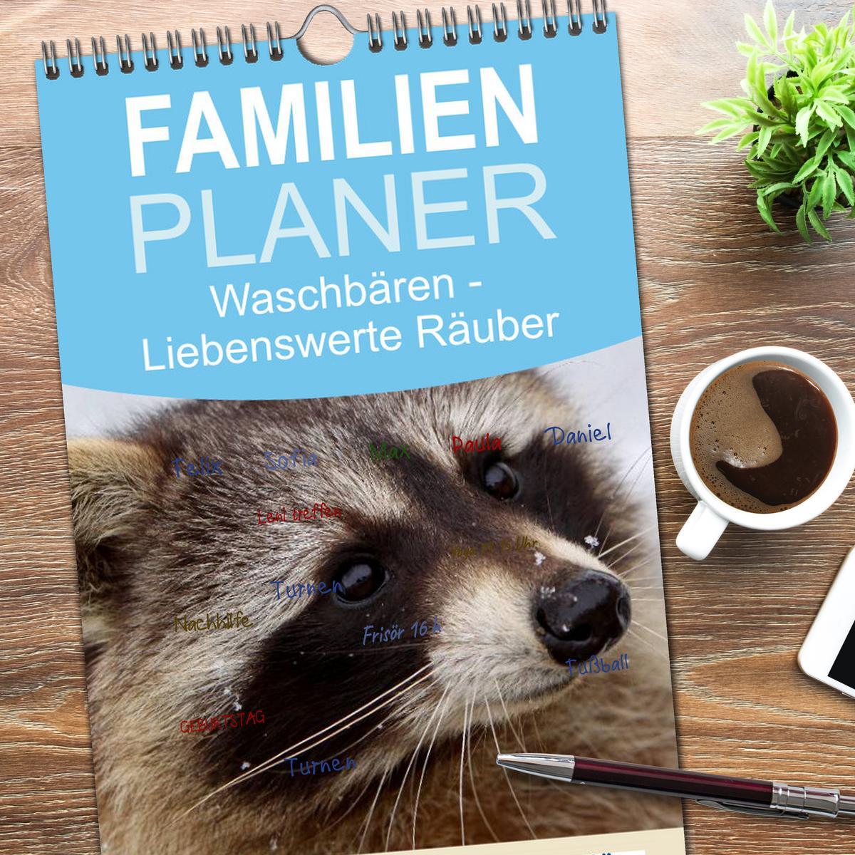 Bild: 9783457126653 | Familienplaner 2025 - Waschbären mit 5 Spalten (Wandkalender, 21 x...