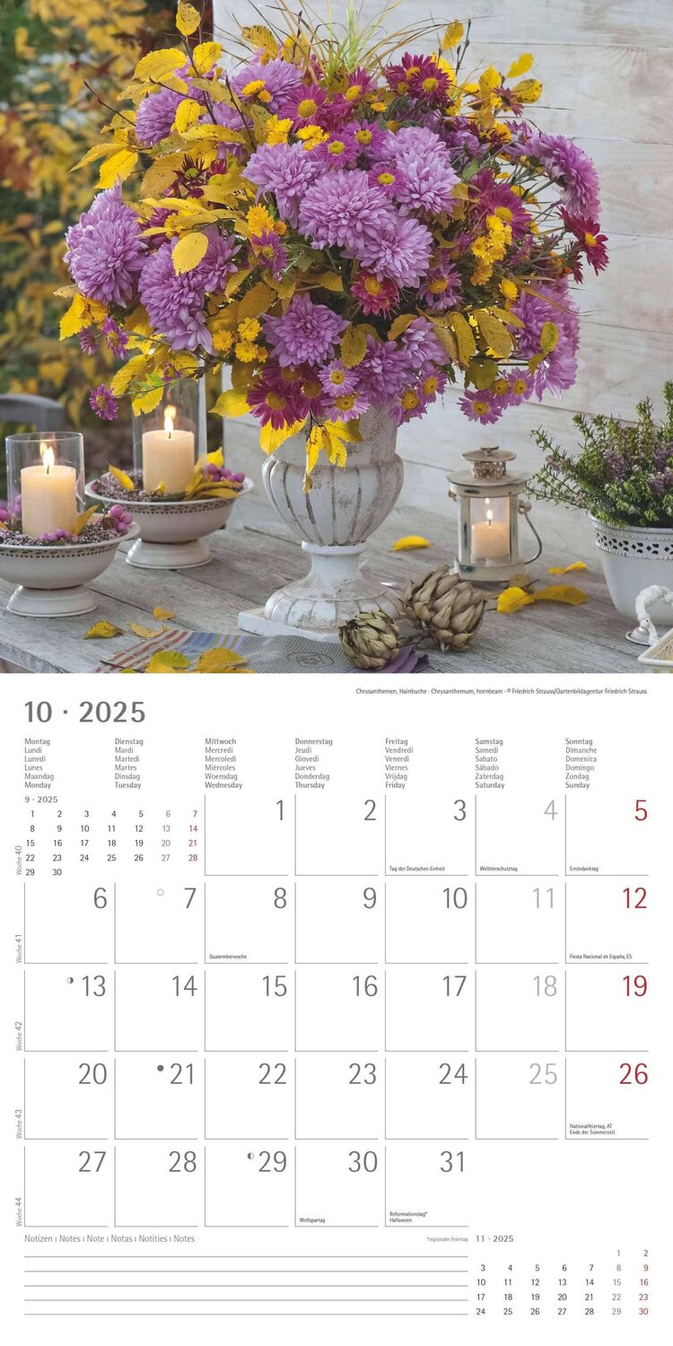 Bild: 4251732340612 | Blumen 2025 - Broschürenkalender 30x30 cm (30x60 geöffnet) -...