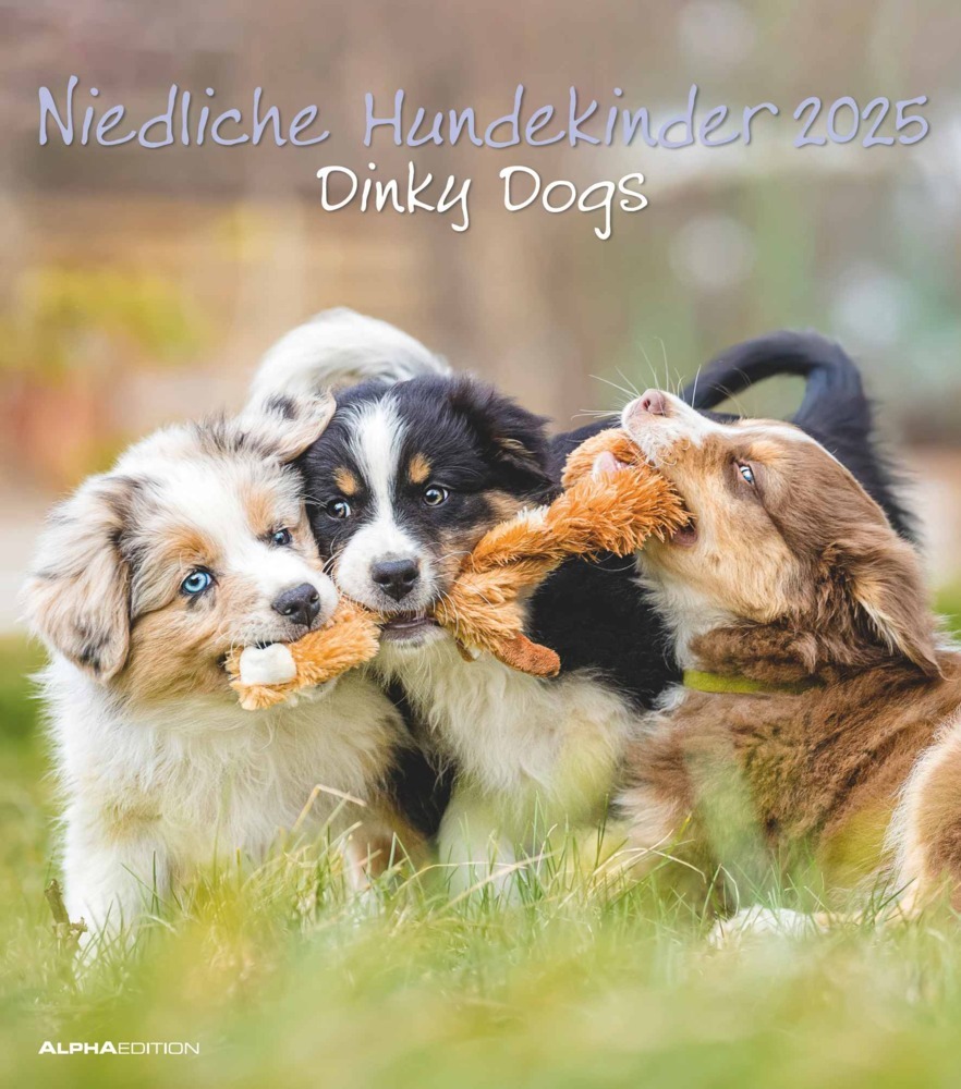 Cover: 4251732344405 | Alpha Edition - Niedliche Hundekinder 2025 Bildkalender, 30x40cm,...