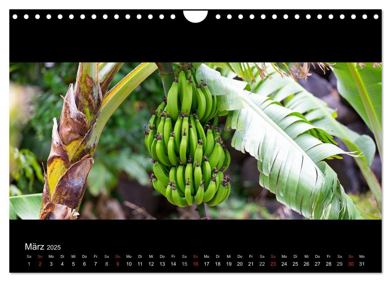 Bild: 9783435676927 | La Gomera - Kanarisches Naturparadies (Wandkalender 2025 DIN A4...