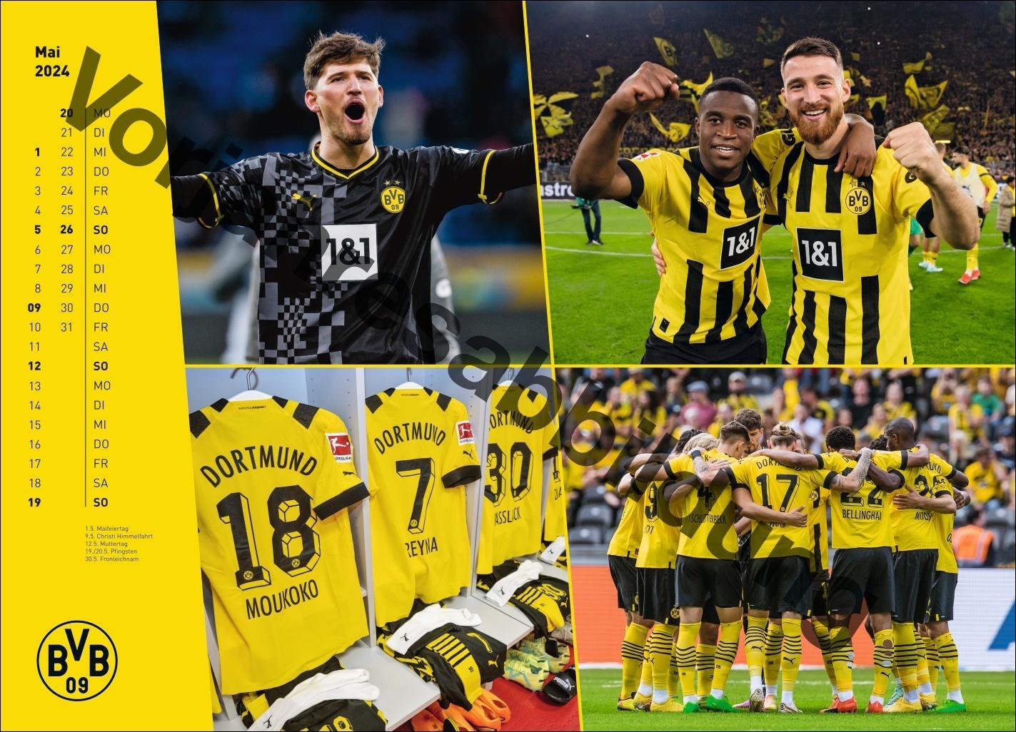 Bild: 9783756404735 | BVB Edition Kalender 2025 | Heye | Kalender | Bundesliga Kalender Heye