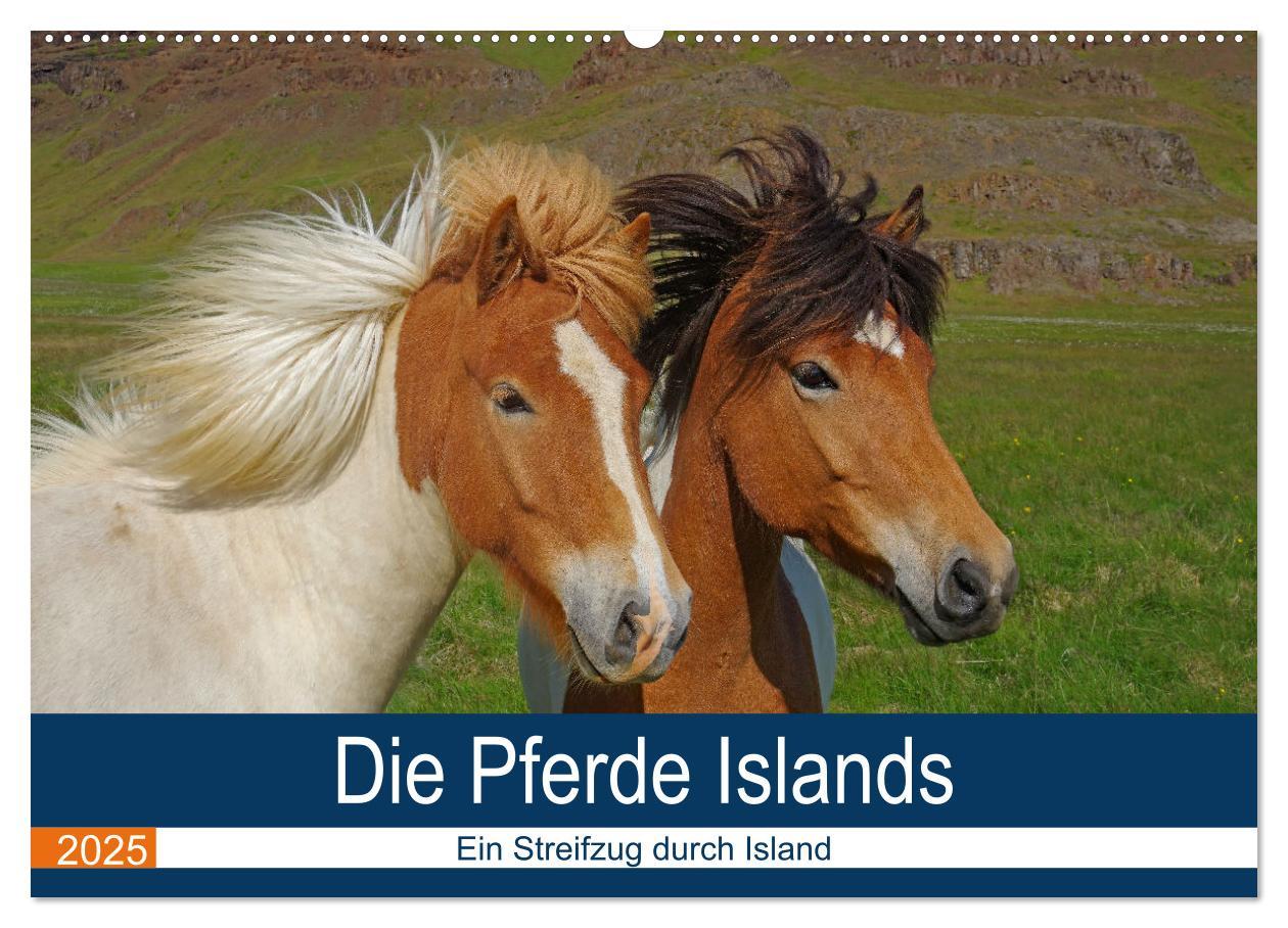 Cover: 9783435613274 | Die Pferde Islands - Ein Streifzug durch Island (Wandkalender 2025...