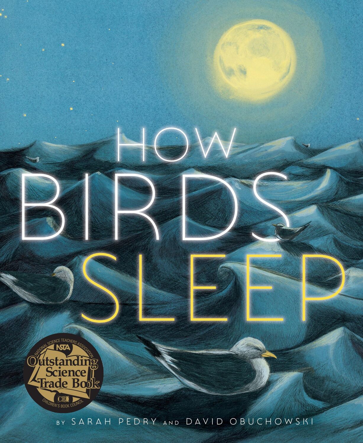 Cover: 9781662650970 | How Birds Sleep | David Obuchowski (u. a.) | Buch | Englisch | 2023