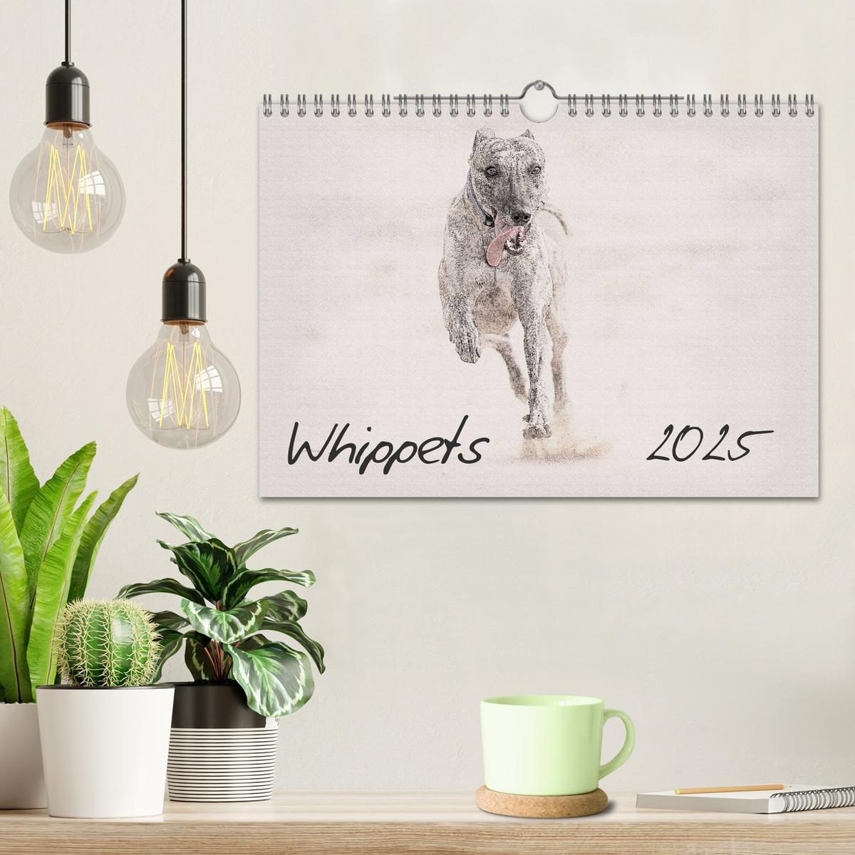 Bild: 9781325992690 | Whippets 2025 (Wall Calendar 2025 DIN A4 landscape), CALVENDO 12...