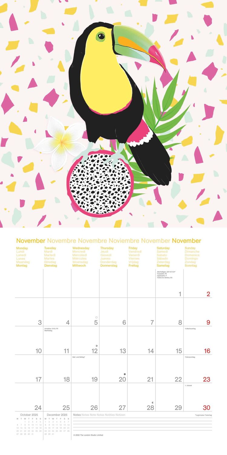 Bild: 4002725994950 | Sweet &amp; Wild 2025 - Wand-Kalender - Broschüren-Kalender - 30x30 -...