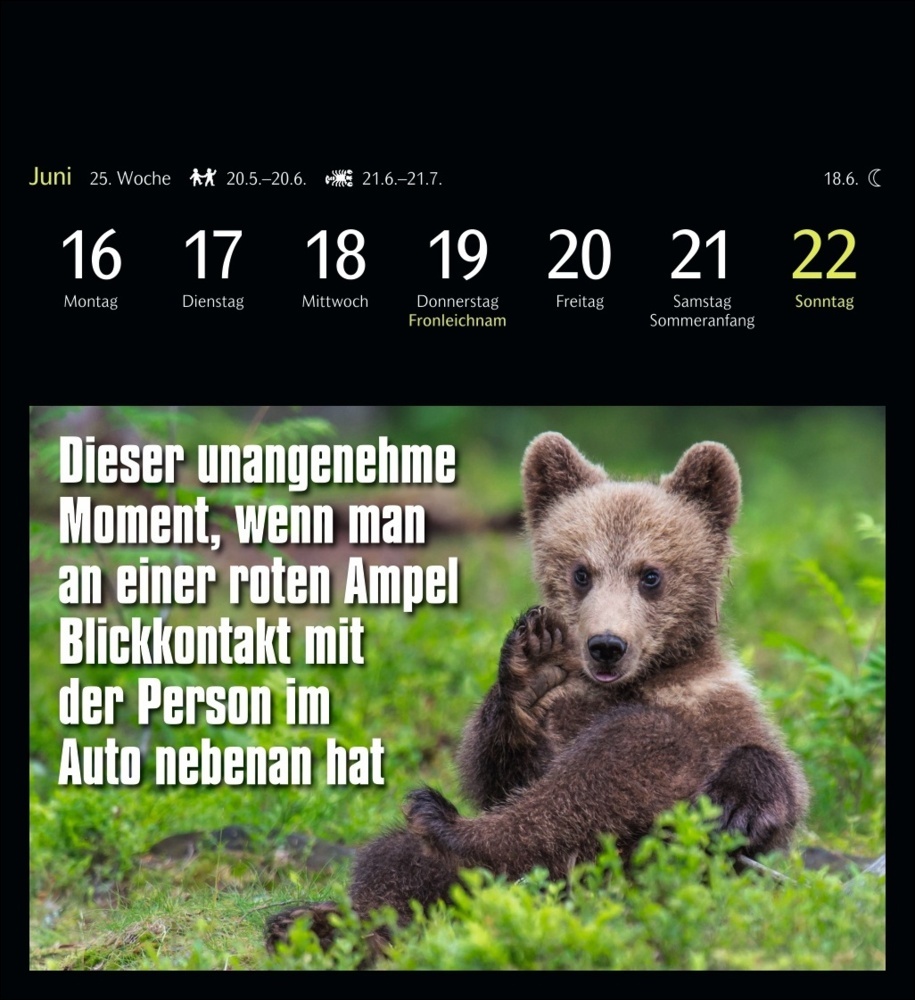 Bild: 9783840035012 | Animal Memes Postkartenkalender 2025 - 53 tierisch witzige Postkarten