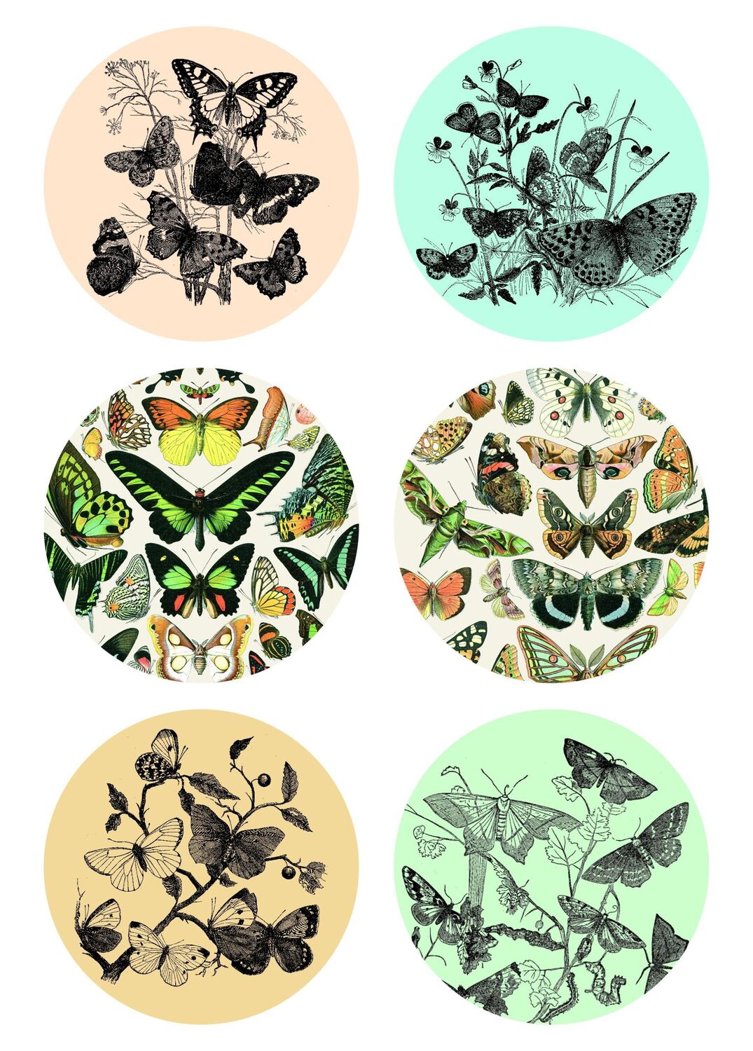 Bild: 9789460094224 | Natural History - Labels, Stickers &amp; Tape | Pepin van Roojen | Stück