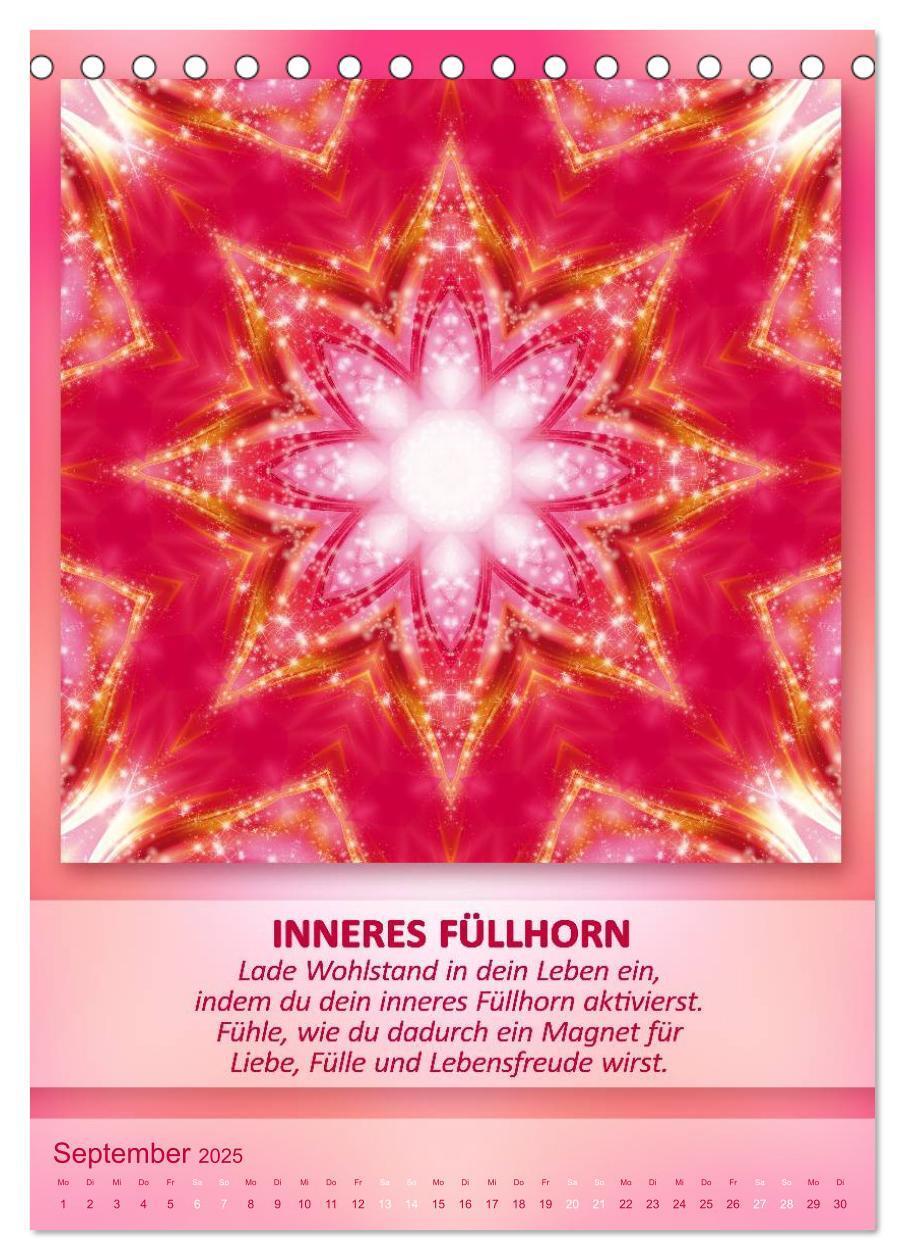 Bild: 9783457079515 | Light Energy Mandalas - Kalender - Vol. 1 (Tischkalender 2025 DIN...