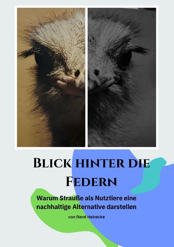 Cover: 9783758422508 | Blick hinter die Federn | René Heinecke | Taschenbuch | 92 S. | 2023