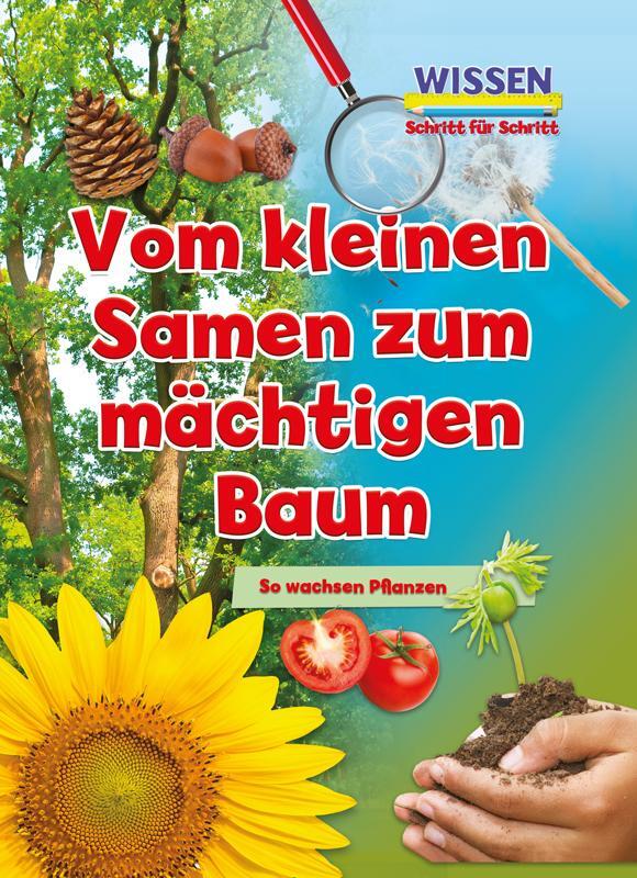 Cover: 9789463414180 | Vom kleinen Samen zum mächtigen Baum | Wissen - Schritt für Schritt