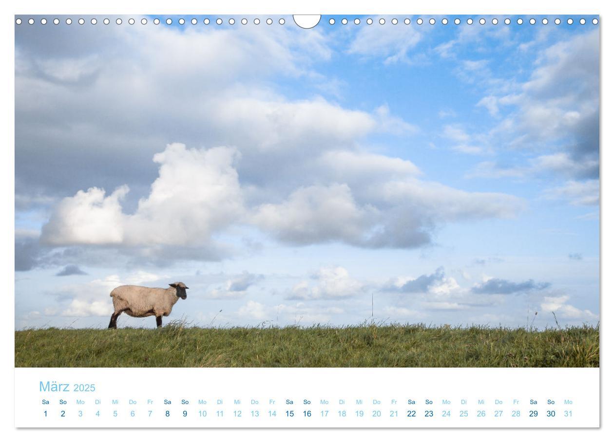 Bild: 9783435071234 | Mehr Nordsee (Wandkalender 2025 DIN A3 quer), CALVENDO Monatskalender