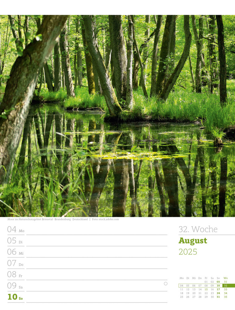 Bild: 9783838425979 | Unser Wald - Wochenplaner Kalender 2025 | Ackermann Kunstverlag | 2025