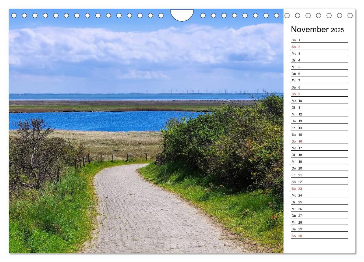 Bild: 9783435535903 | Langeoog - Schönste Insel Ostfrieslands (Wandkalender 2025 DIN A4...