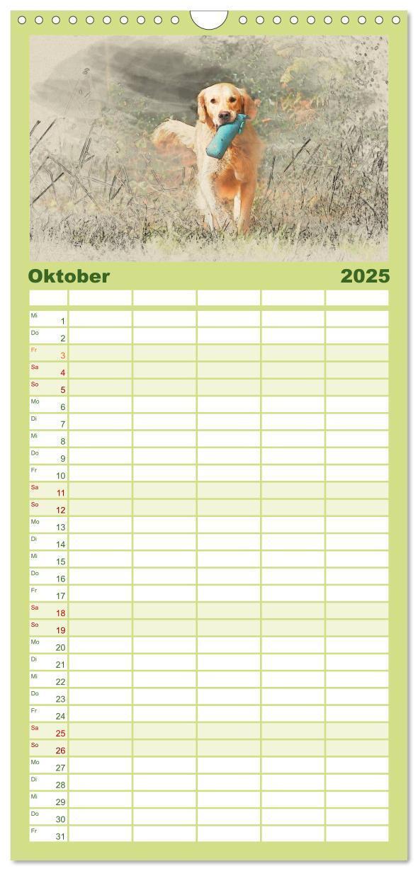 Bild: 9783457117880 | Familienplaner 2025 - Golden Retriever mit 5 Spalten (Wandkalender,...