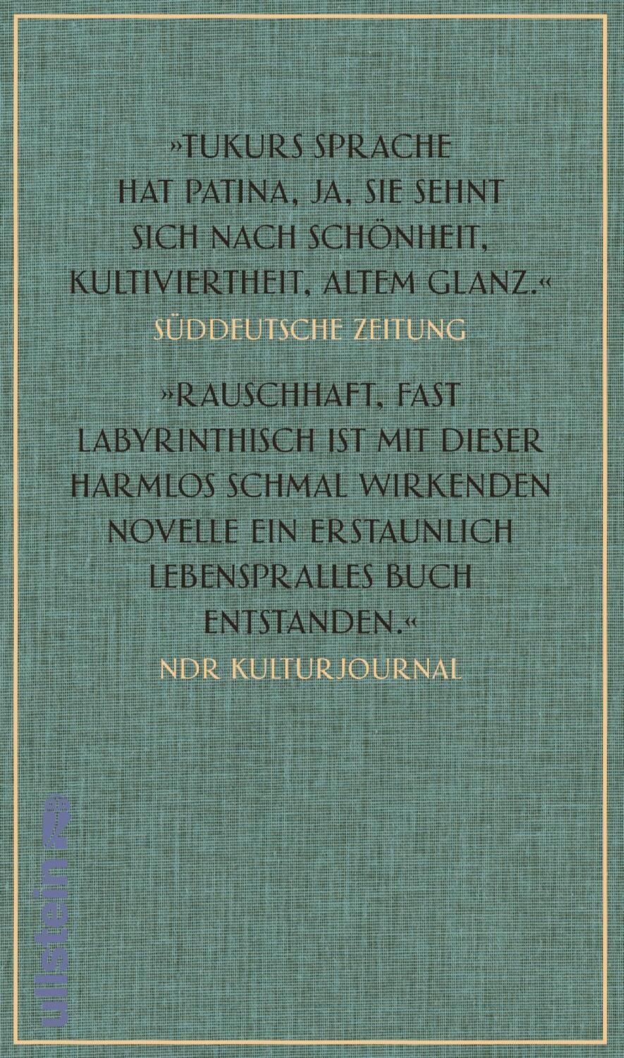 Rückseite: 9783548288758 | Die Spieluhr | Ulrich Tukur | Buch | 160 S. | Deutsch | 2016