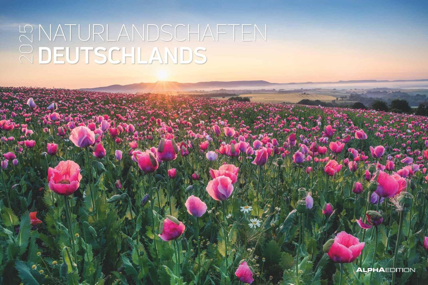 Cover: 4251732342180 | Naturlandschaften Deutschlands 2025 - Bildkalender 49,5x33 cm - die...